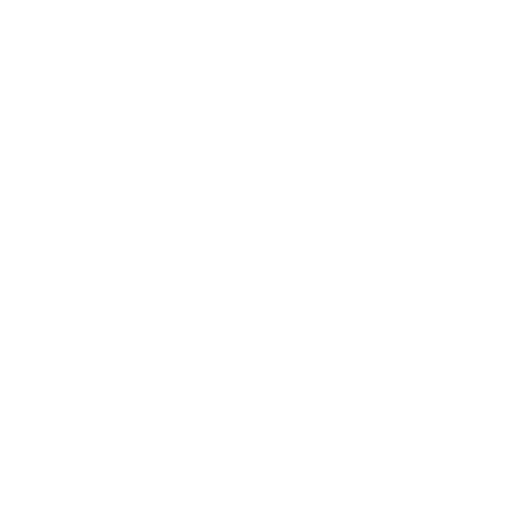 Denture Repair