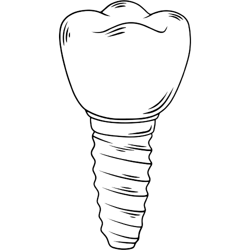 Permanent Teeth